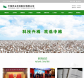 中棉种业网站截图预览
