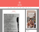 段子网网站截图预览