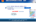 贵州企业信用信息公示系统网站截图预览