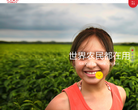 史丹利化肥股份有限公司网站截图预览