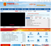 中国武城网站截图预览