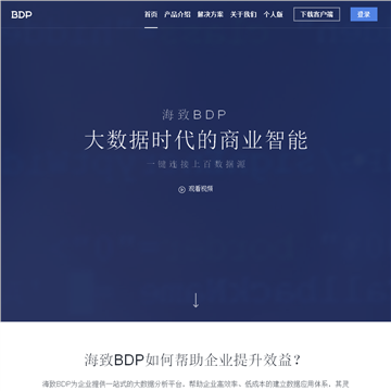 大数据商业智能BI产品网站截图预览