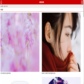 破洛洛手机版网站截图预览