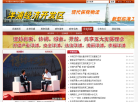 洋浦经济开发区网站截图预览