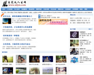 自定义人生网网站截图预览
